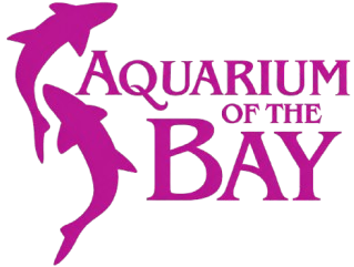 bay